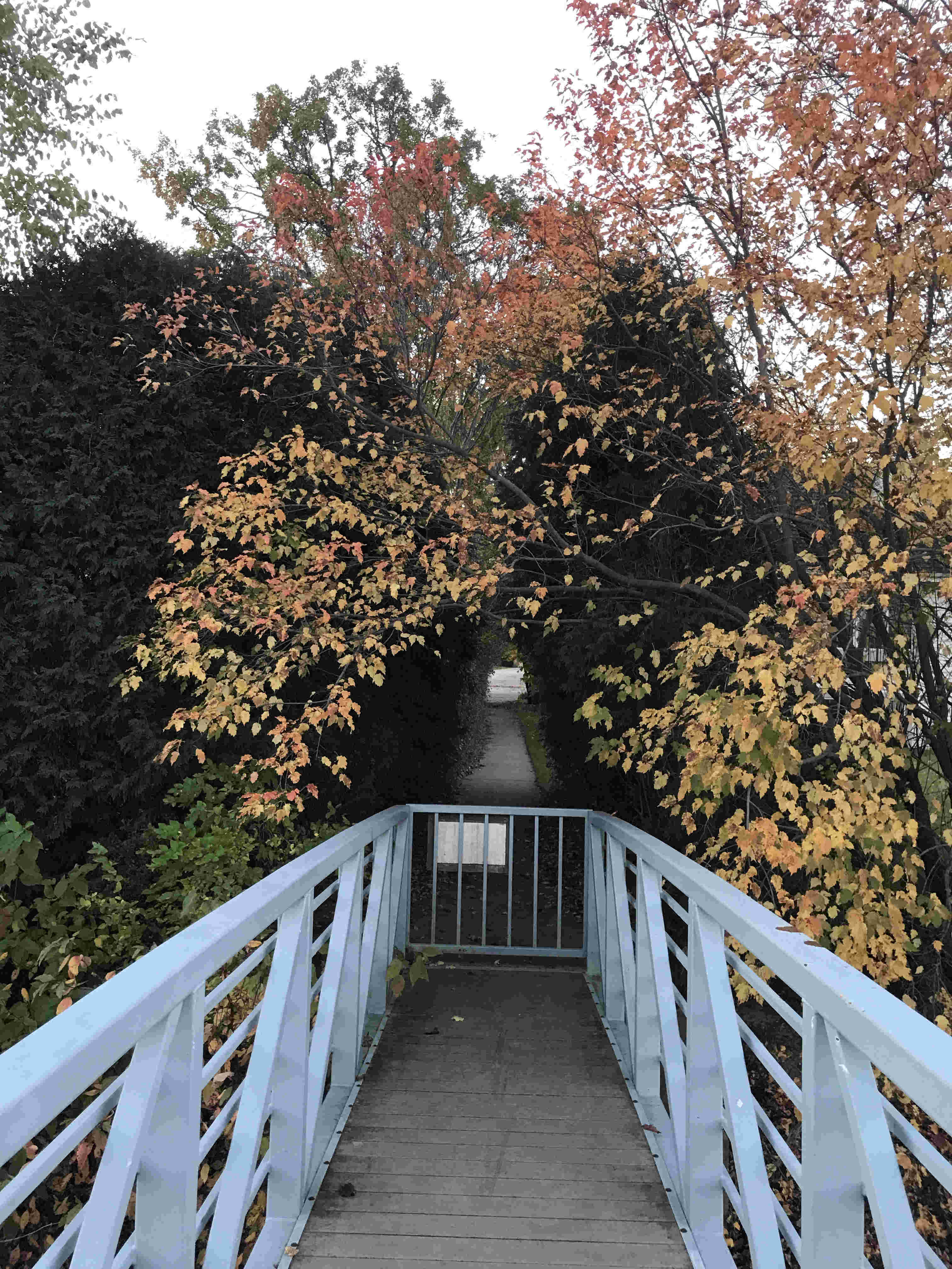 bridge, fall, trees, path, Esquire Estates, Germantown, Wisconsin